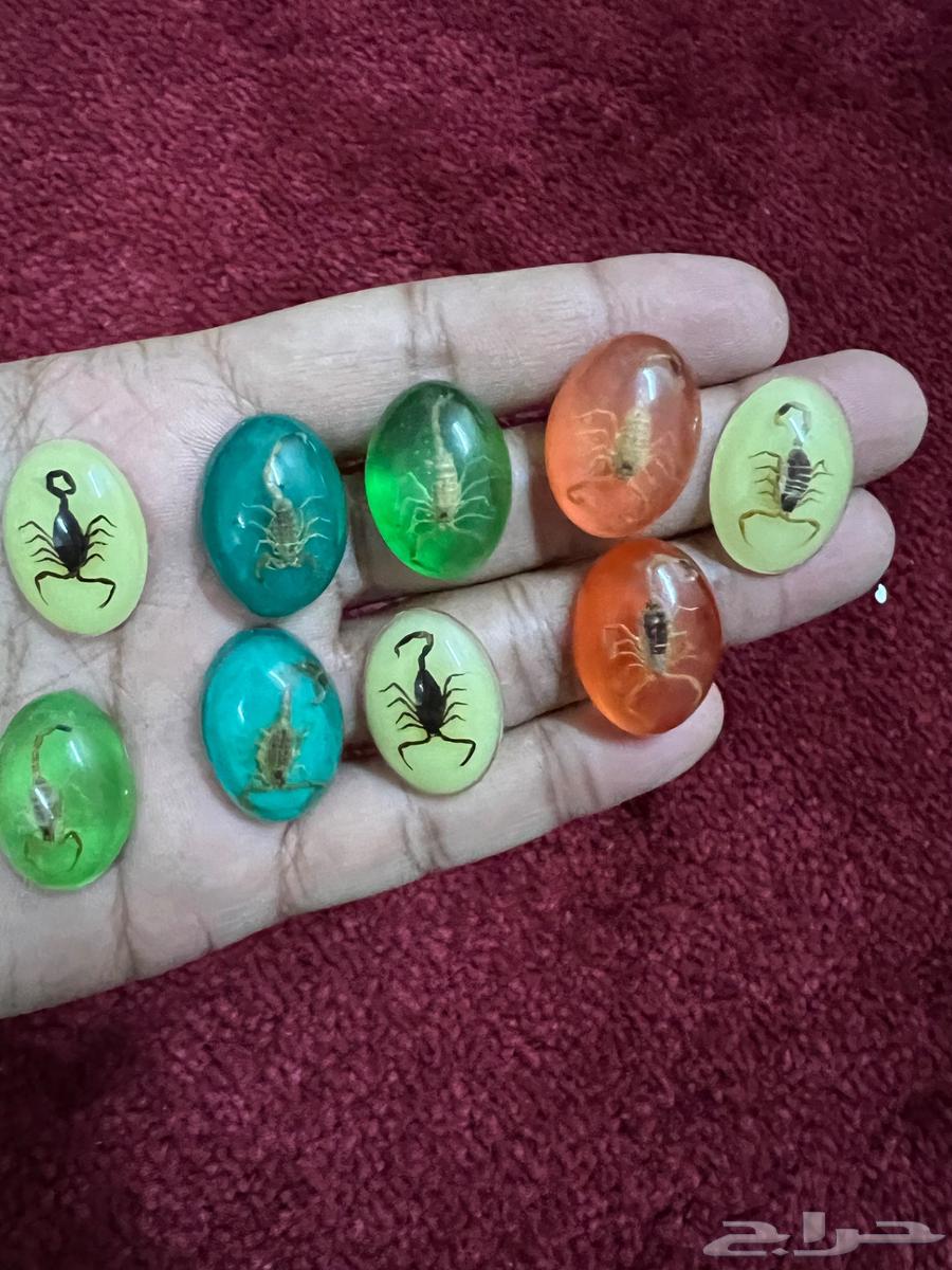 Glow-in-the-dark phosphorescent stones containing preserved natural scorpions64536529637761114