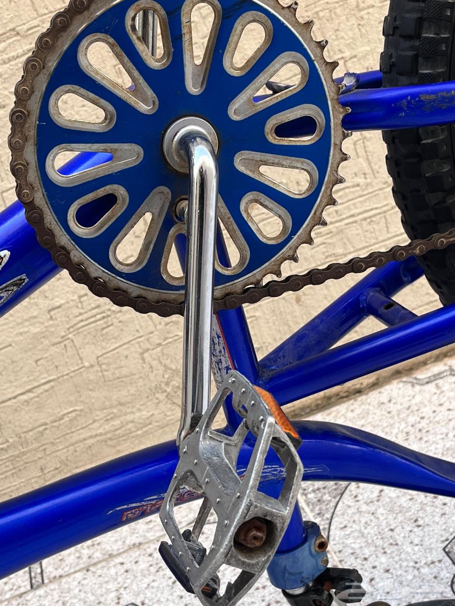 سيكل كوبرا مقاس 2064536711324417113