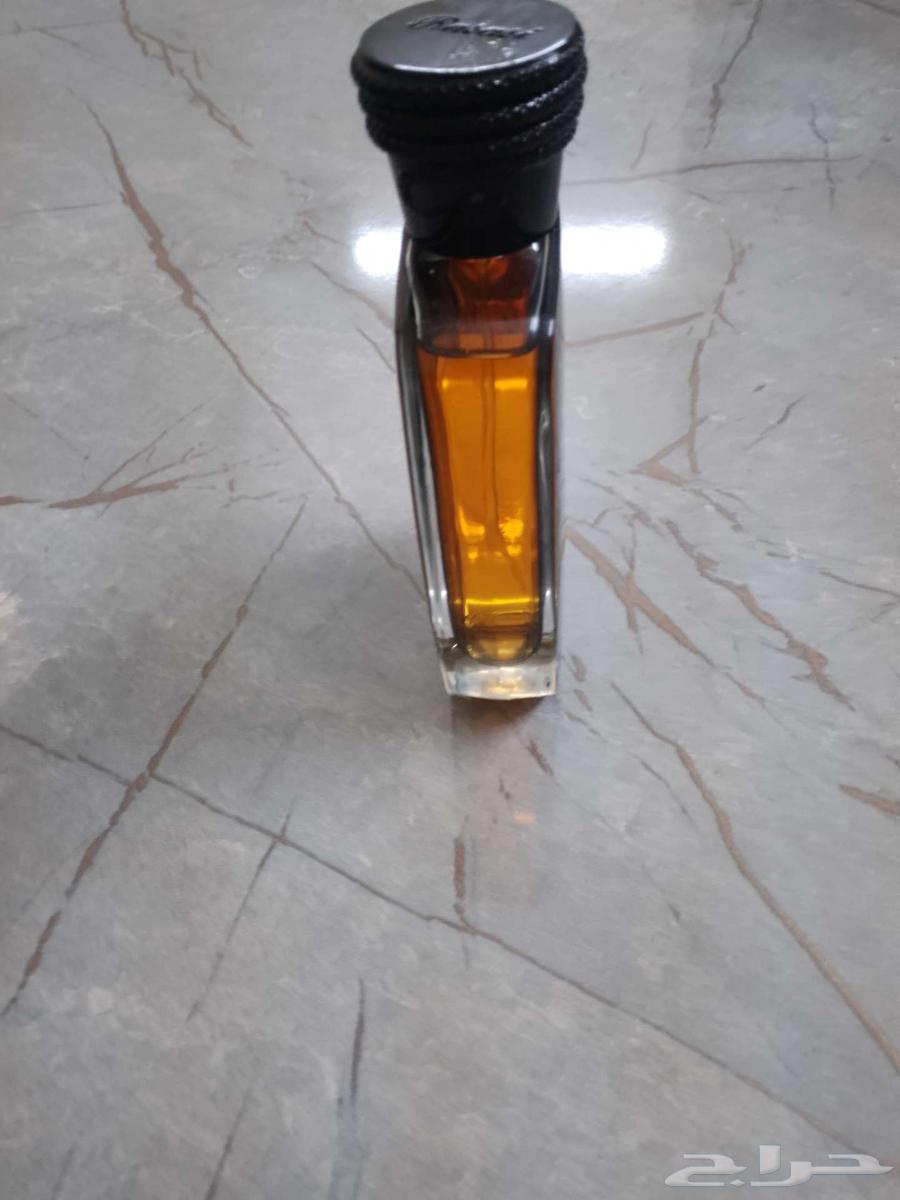 هوس بلاك أصلي64536989476353113