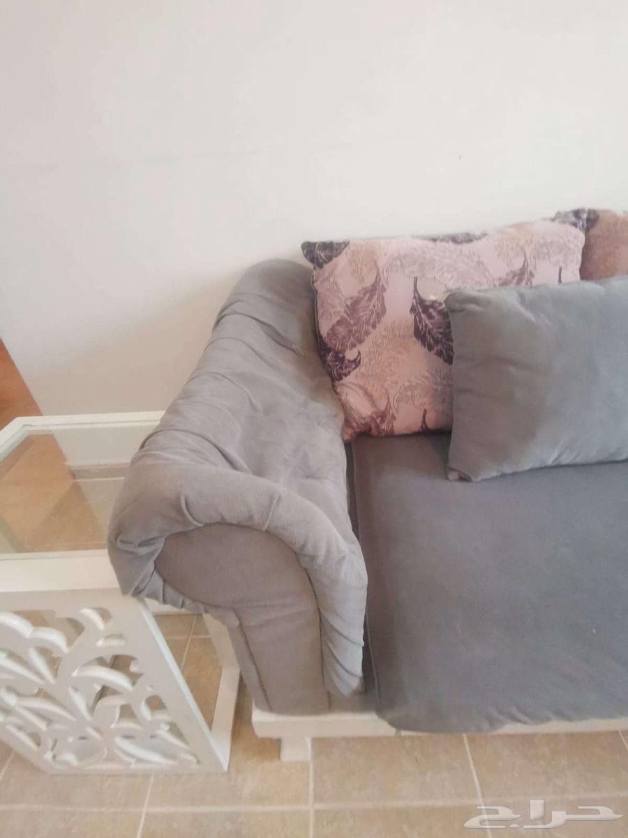 طقم جلوس كنب صالون64537588674563113