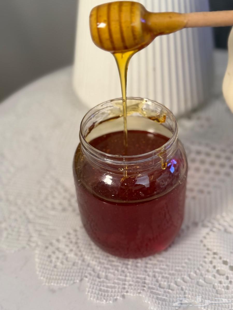 عسل سدر طبيعي اصلي64537686852098111