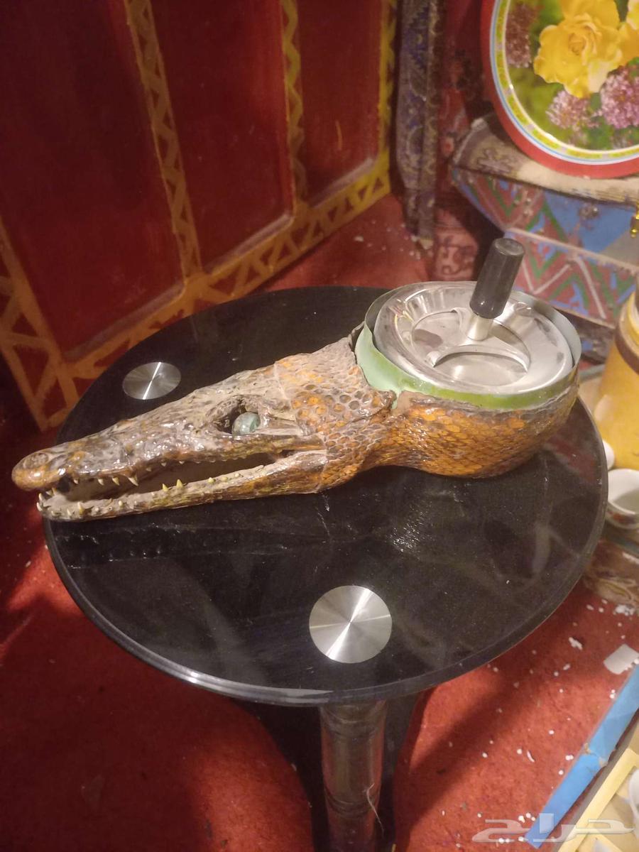 من اغراض الخطوط مخفضه64538260753026111