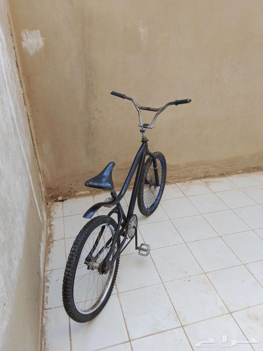 دراجه كوبرا مقاس 2464539486118018113