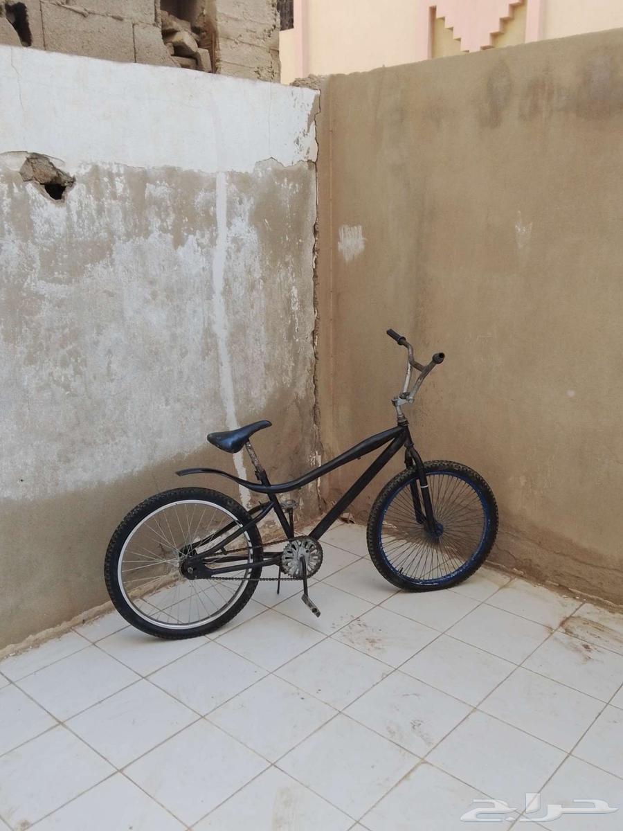 دراجه كوبرا مقاس 2464539486118018114