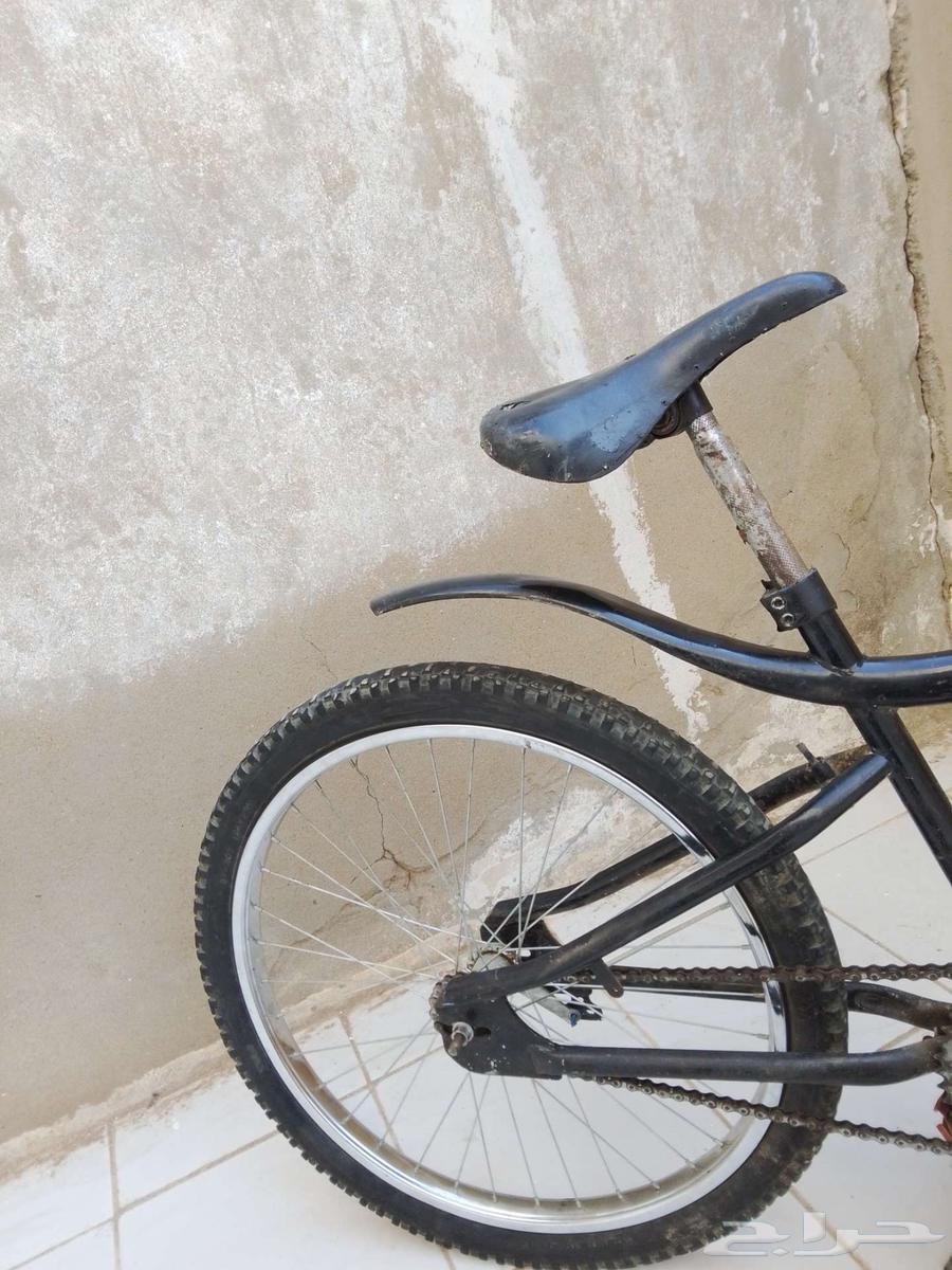 دراجه كوبرا مقاس 2464539486118018112