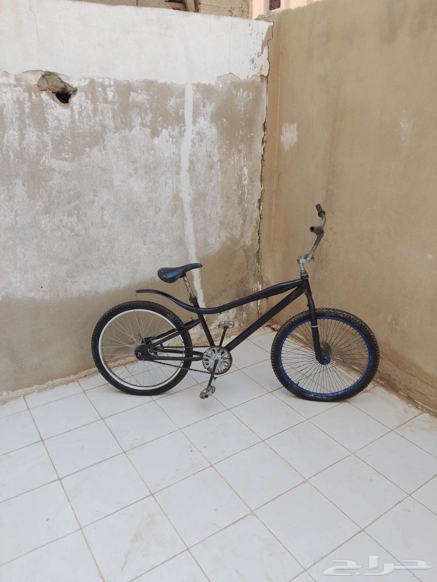 دراجه كوبرا مقاس 2464539486118018110