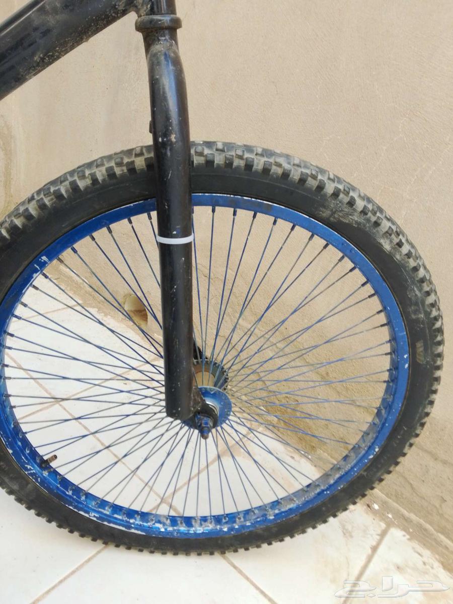 دراجه كوبرا مقاس 2464539486118018111