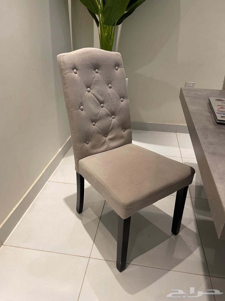 طاولة طعام 10 اشخاص كبيرة وجودة عالية64540167227394112