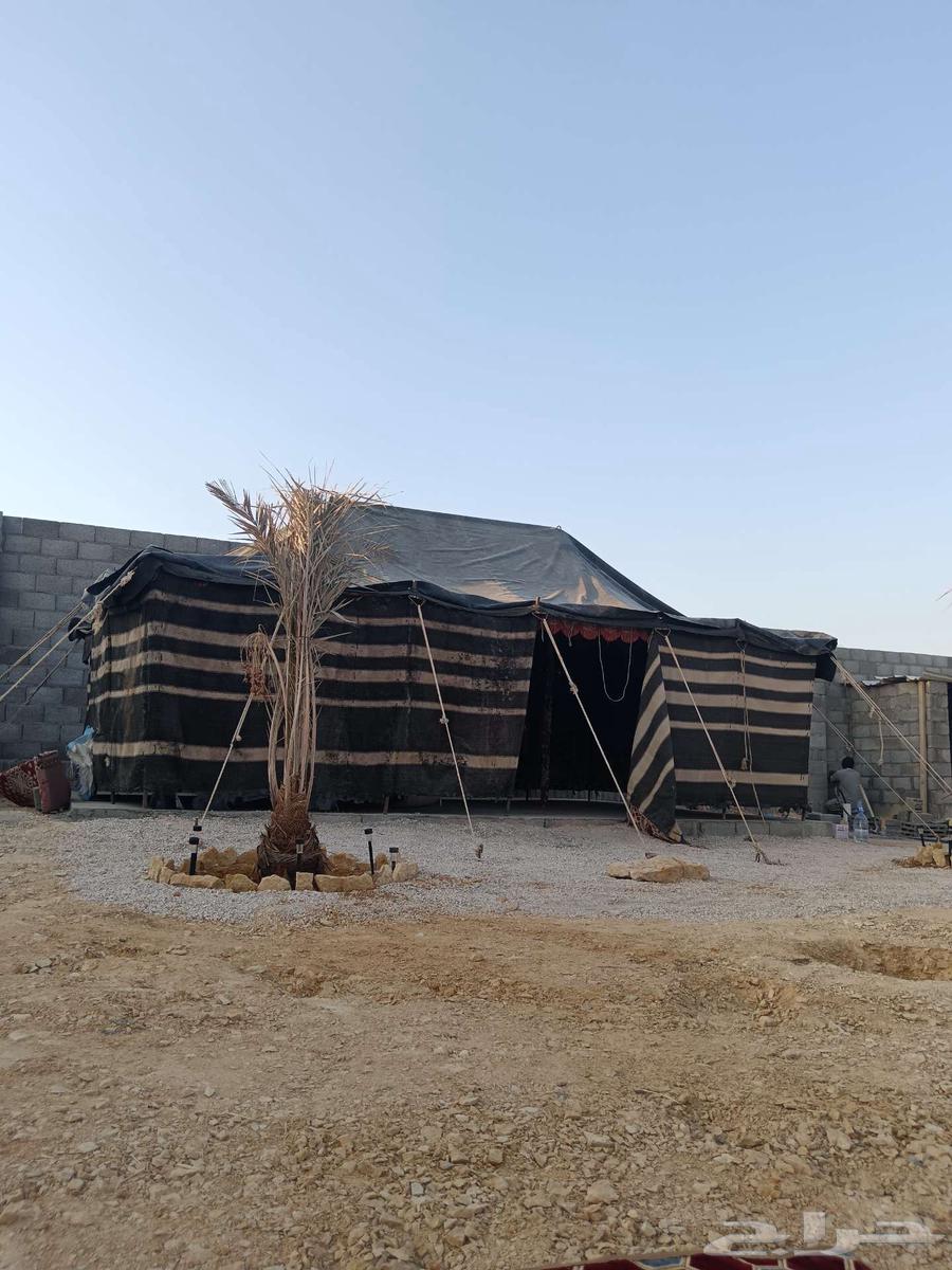 للبيع خيمة شعر64540181462786110