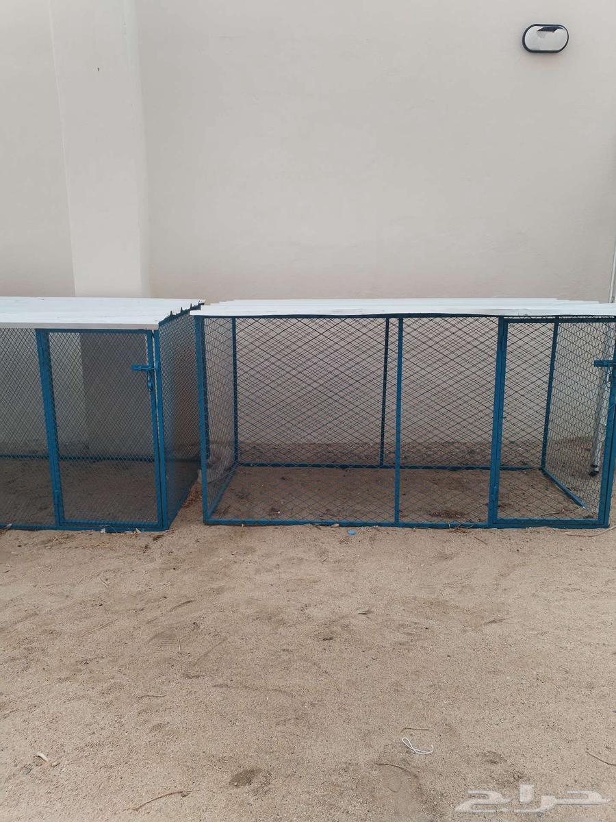 شبك دجاج جديد للبيع64540808495105112