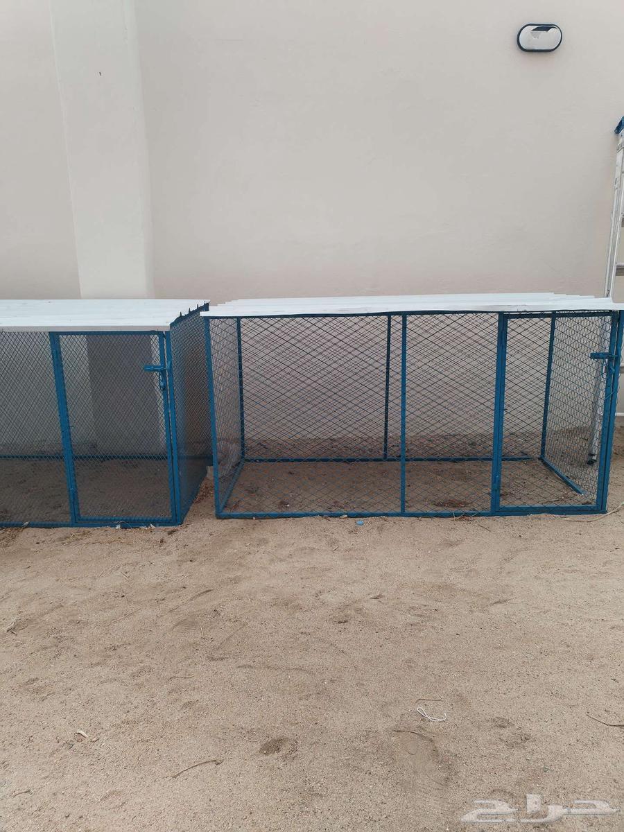 شبك دجاج جديد للبيع64540808495105111