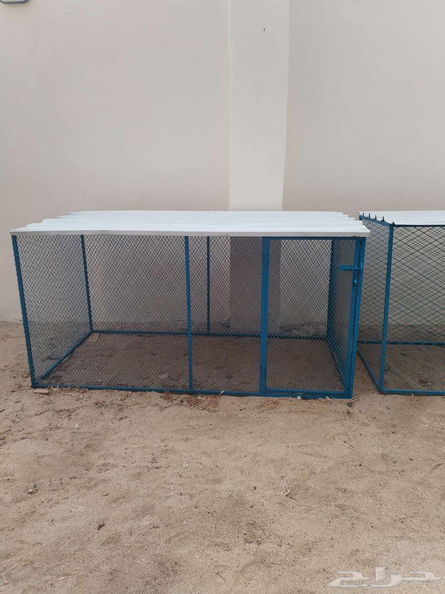 شبك دجاج جديد للبيع64540808495105110