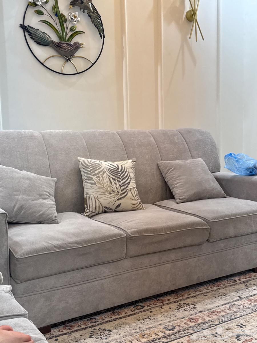 جنوب الهفوف حي الزهرة شارع الزيزفون قريب من هايبر العثيم64541179483907113