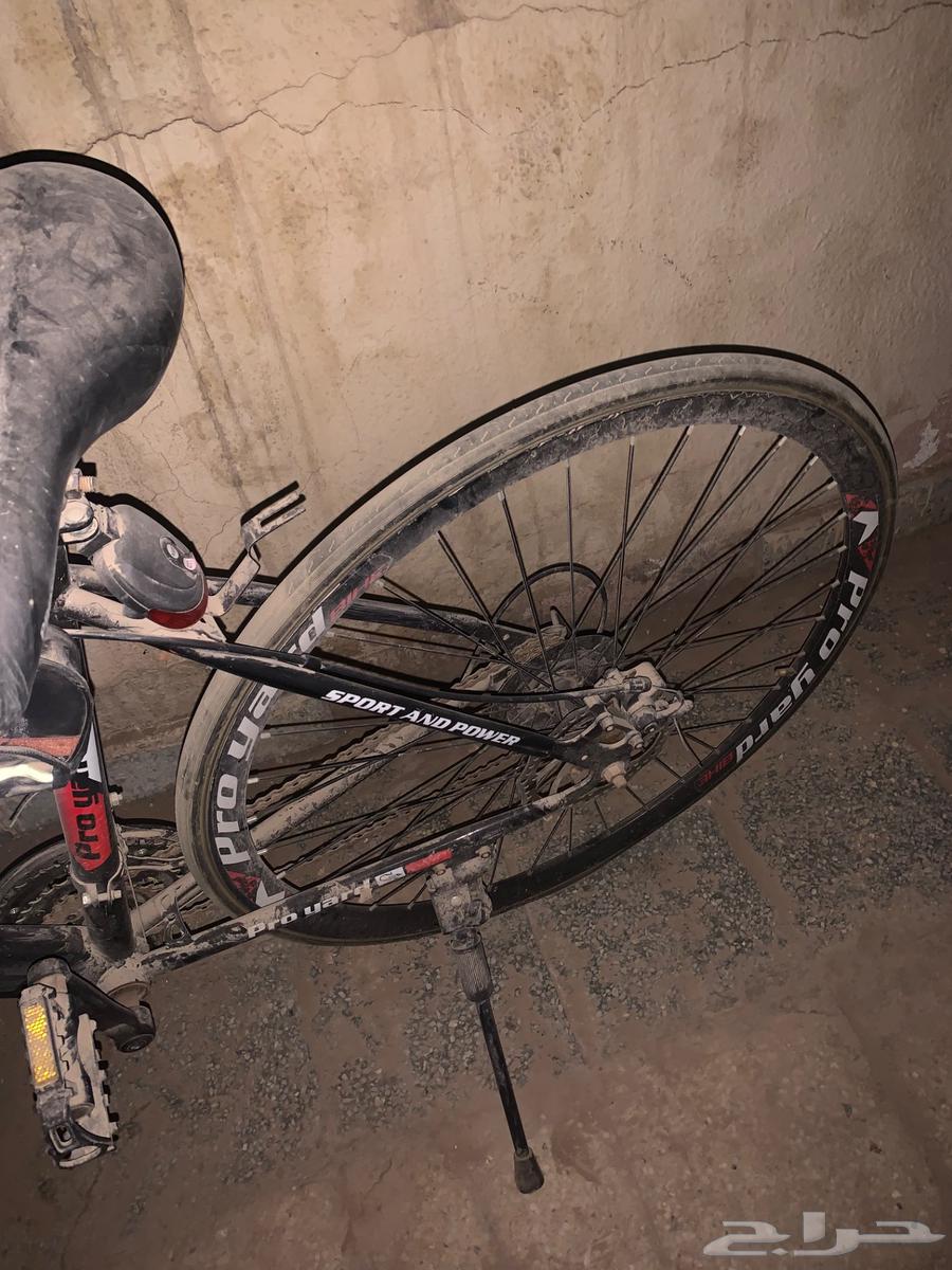 سيكل او دراجة للبيع64542743298563113