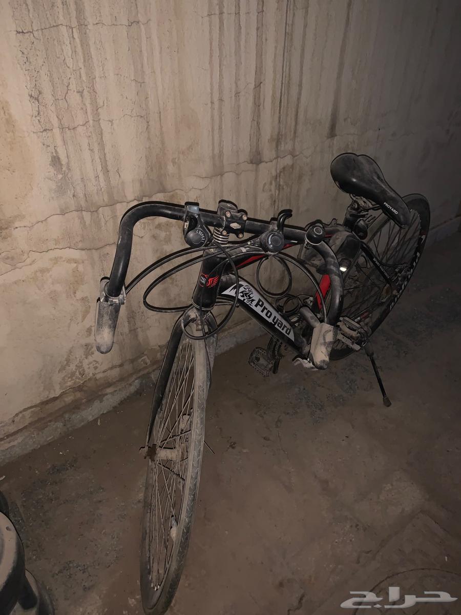 سيكل او دراجة للبيع64542743298563111