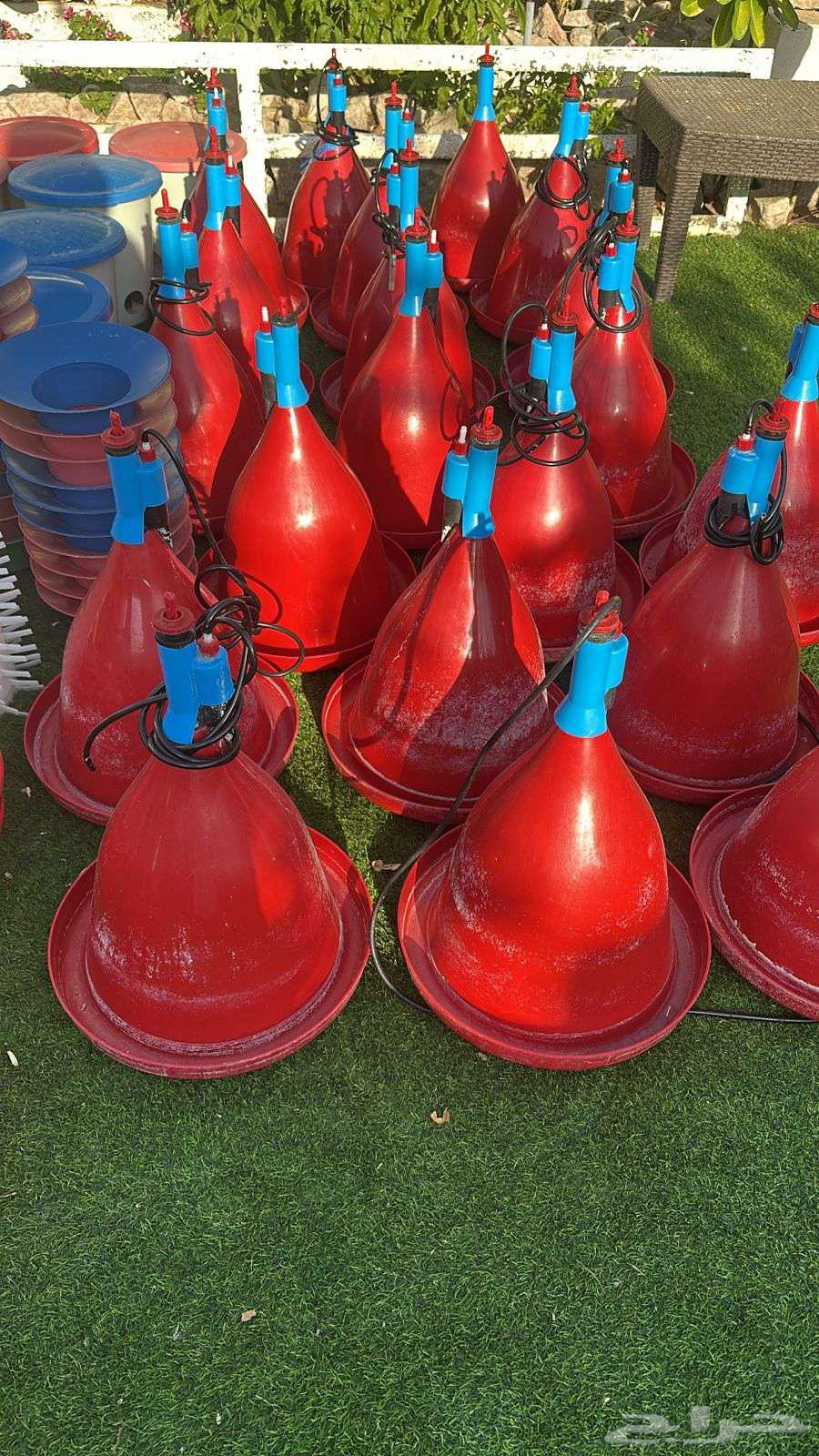 Poultry and Pigeon Feeders and Waterers64537909826433110