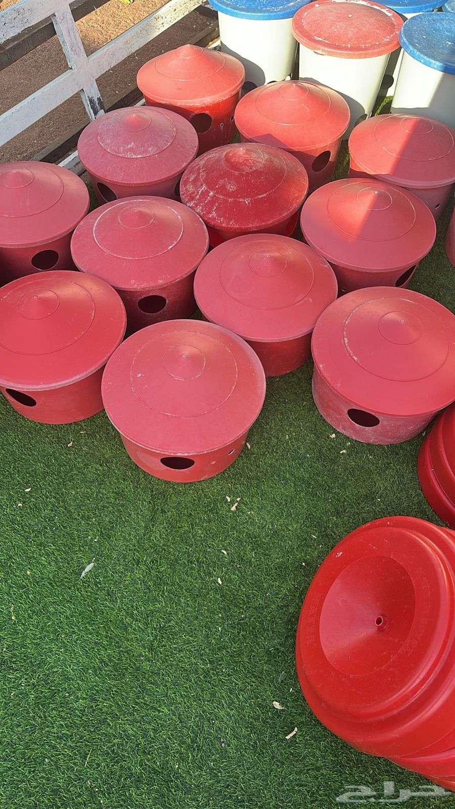 Poultry and Pigeon Feeders and Waterers64537909826433112