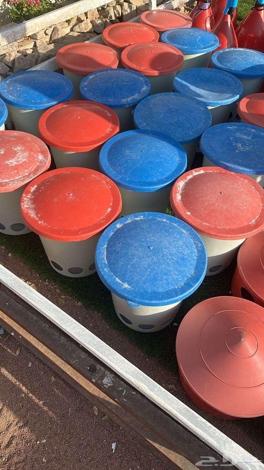 Poultry and Pigeon Feeders and Waterers64537909826433113