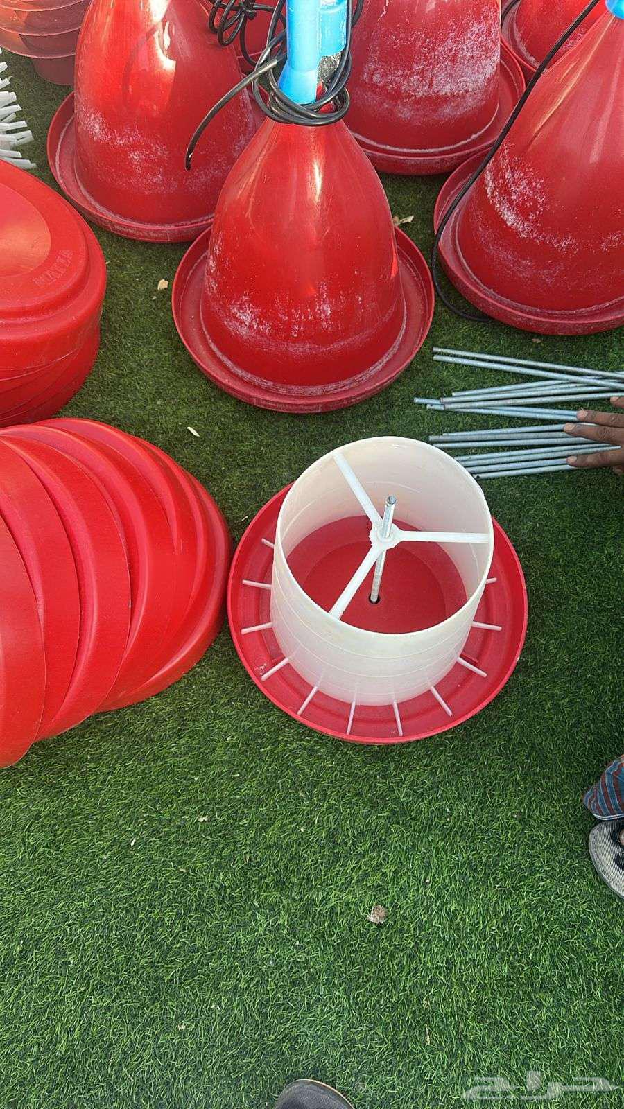 Poultry and Pigeon Feeders and Waterers64537909826433111