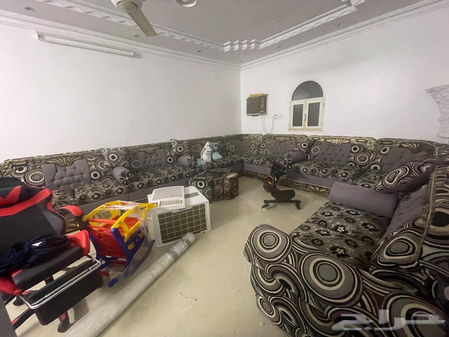 كنب جديد64535931086593112