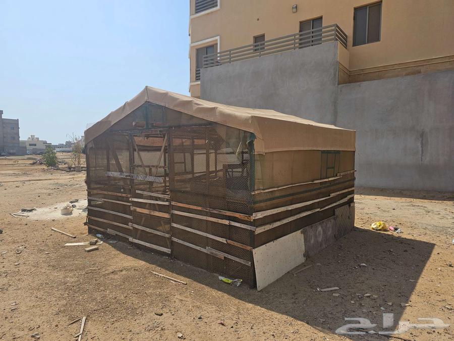 للبيع صندقه لتربيه الطيور والمواشي بجده64536557758851113