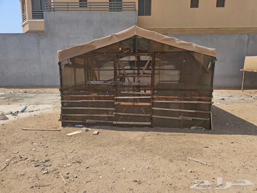 للبيع صندقه لتربيه الطيور والمواشي بجده64536557758851110
