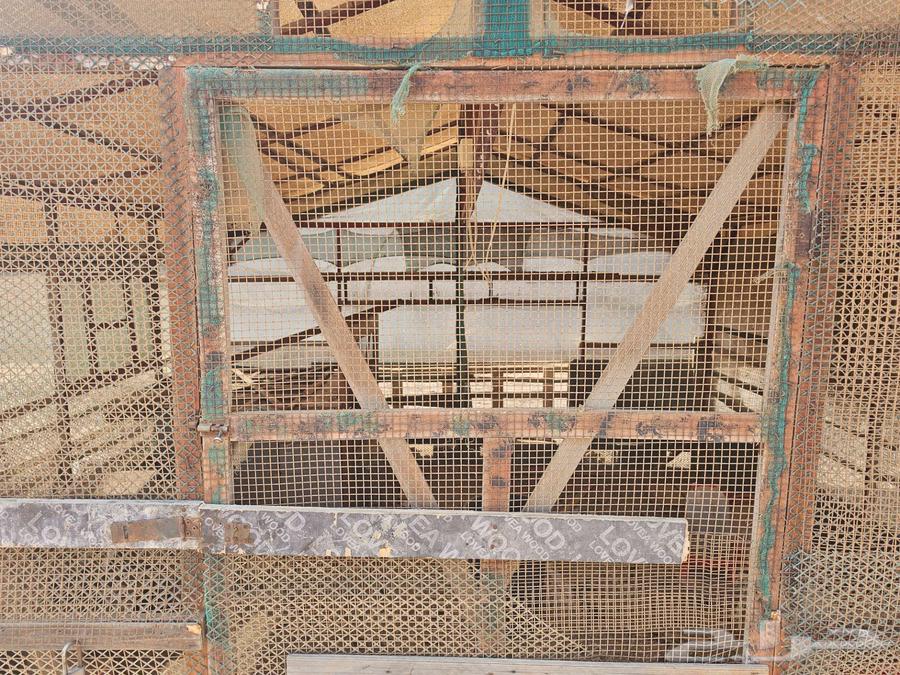 للبيع صندقه لتربيه الطيور والمواشي بجده64536557758851112