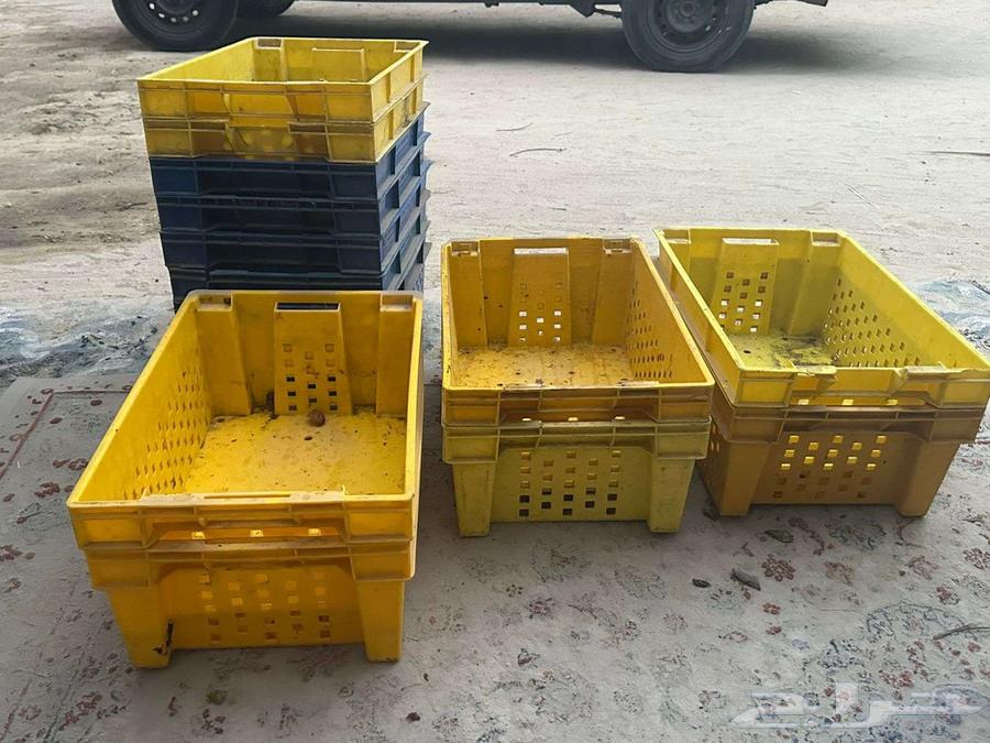 Banana cartons and date baskets64537951862274111