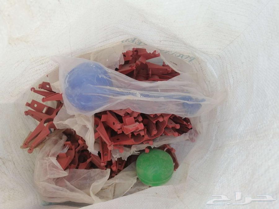 Poultry and Pigeon Feeders and Waterers64537909826433114