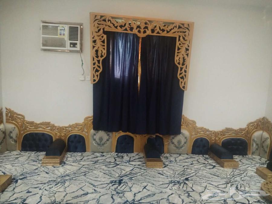 Clean back supports64539753936003111