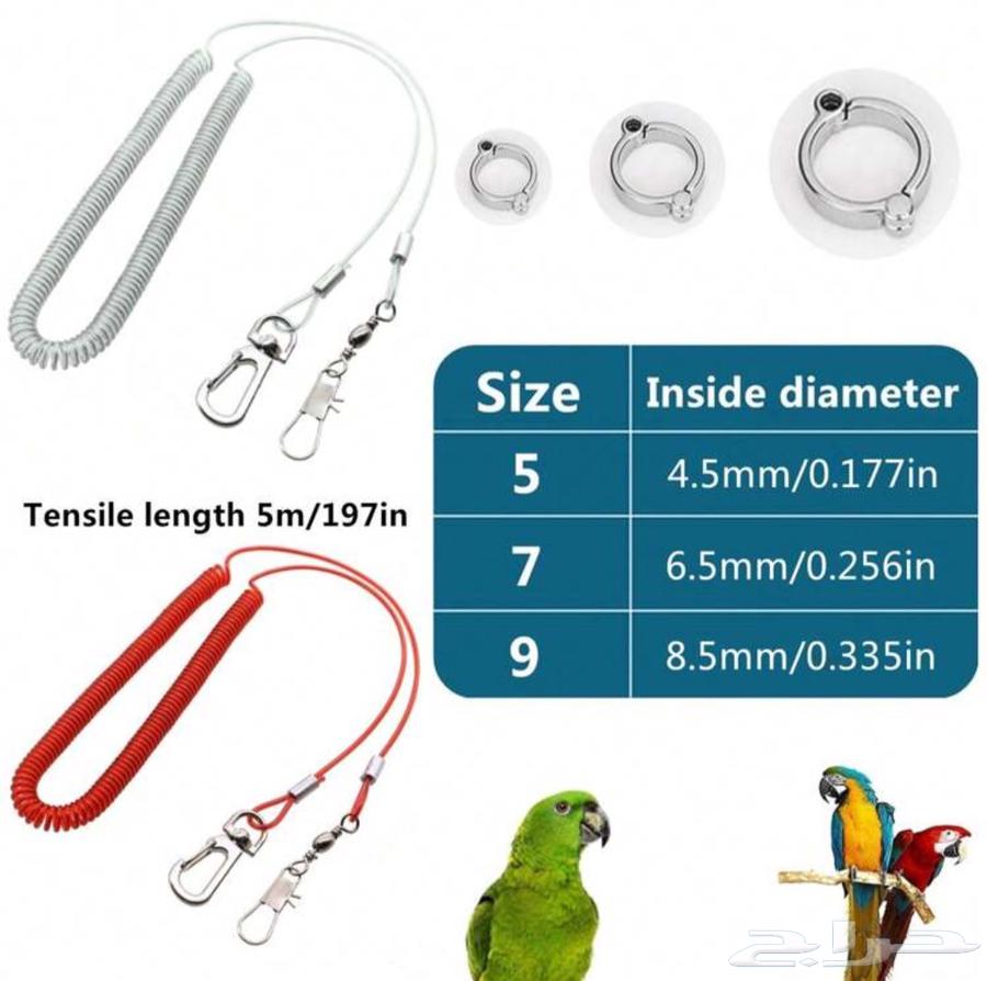 Bird leash for securing birds outside the home64536948085123111