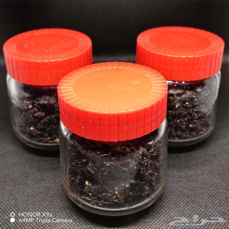 مبثوث شوق بخور المجالس الراقية64537477240962113