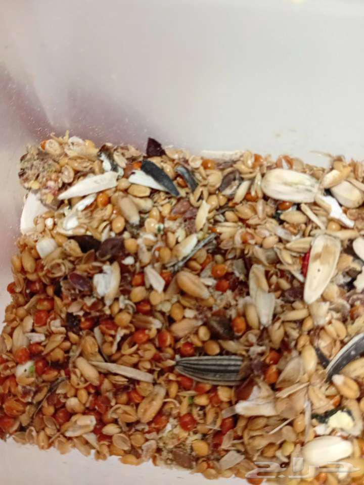 Al-Ahsa64550232136321112