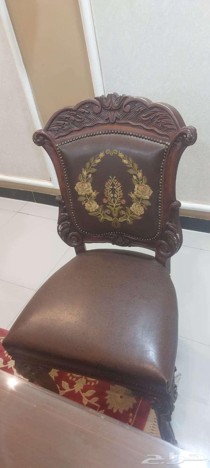 طاولة طعام 12 شخص64546846481410112