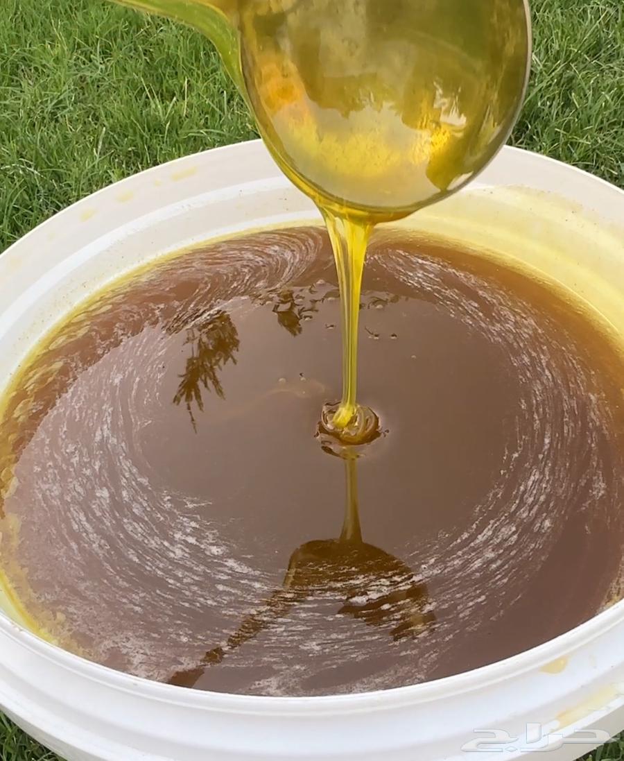 عسل اثل صافي جملة وزن 20 كيلو تقريبا64550232027265110