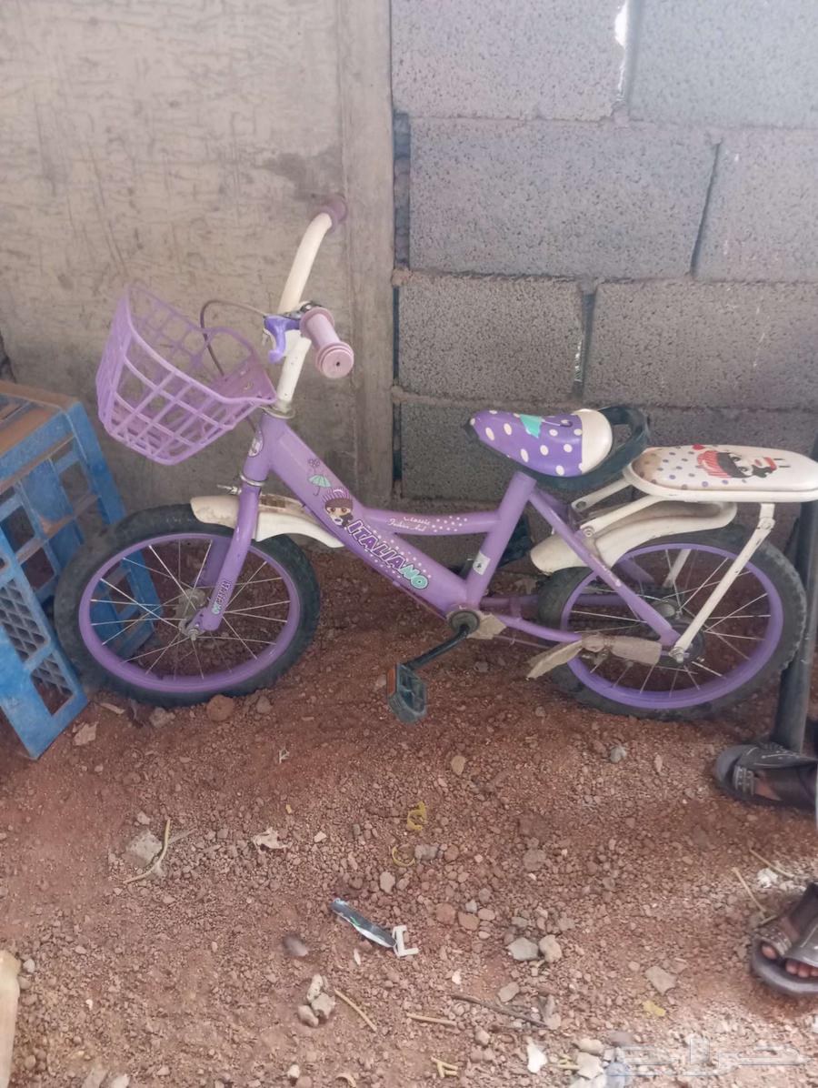 دراجه هوائيه صغيره64552973100035110