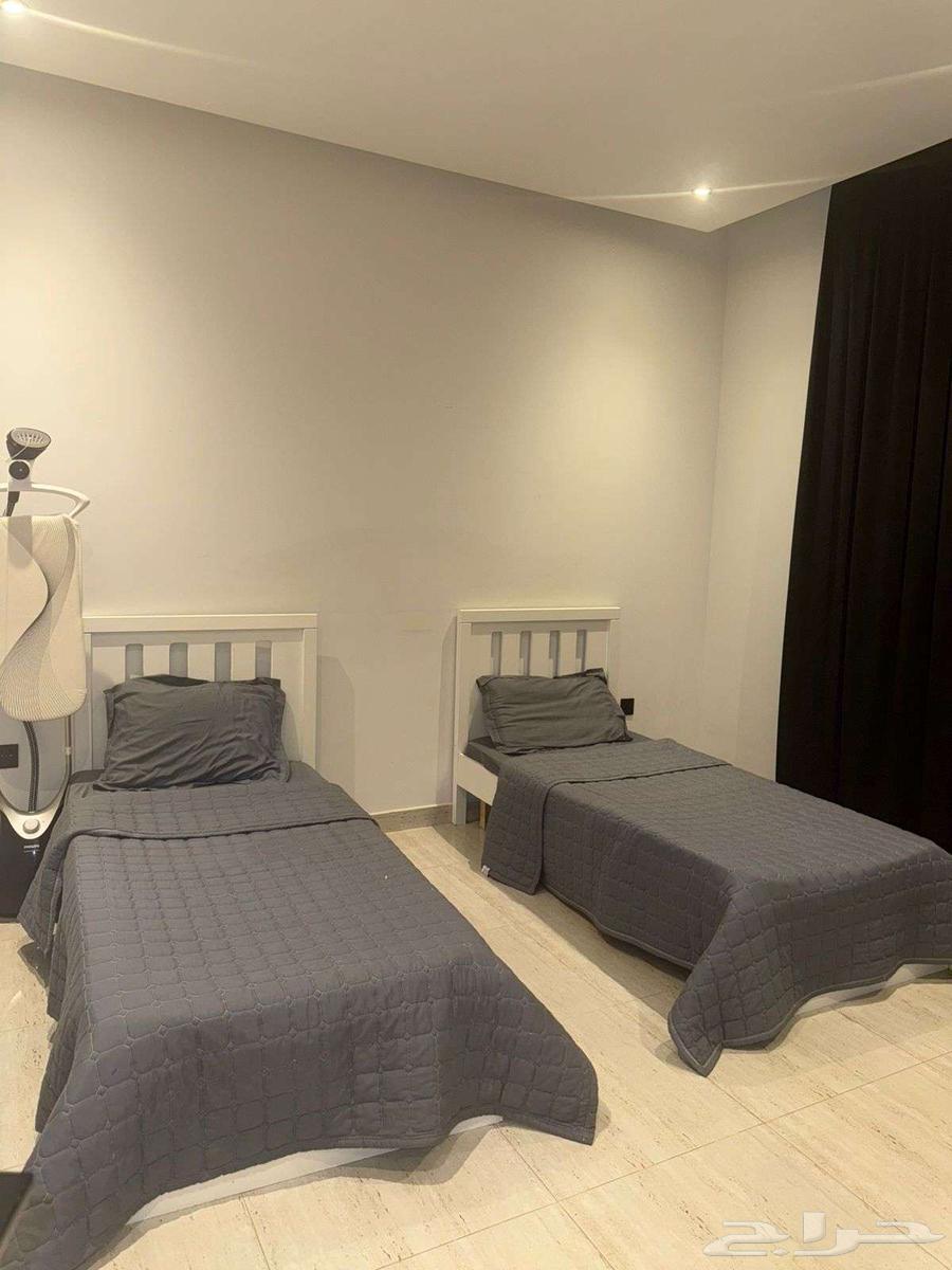 شقة للإيجار