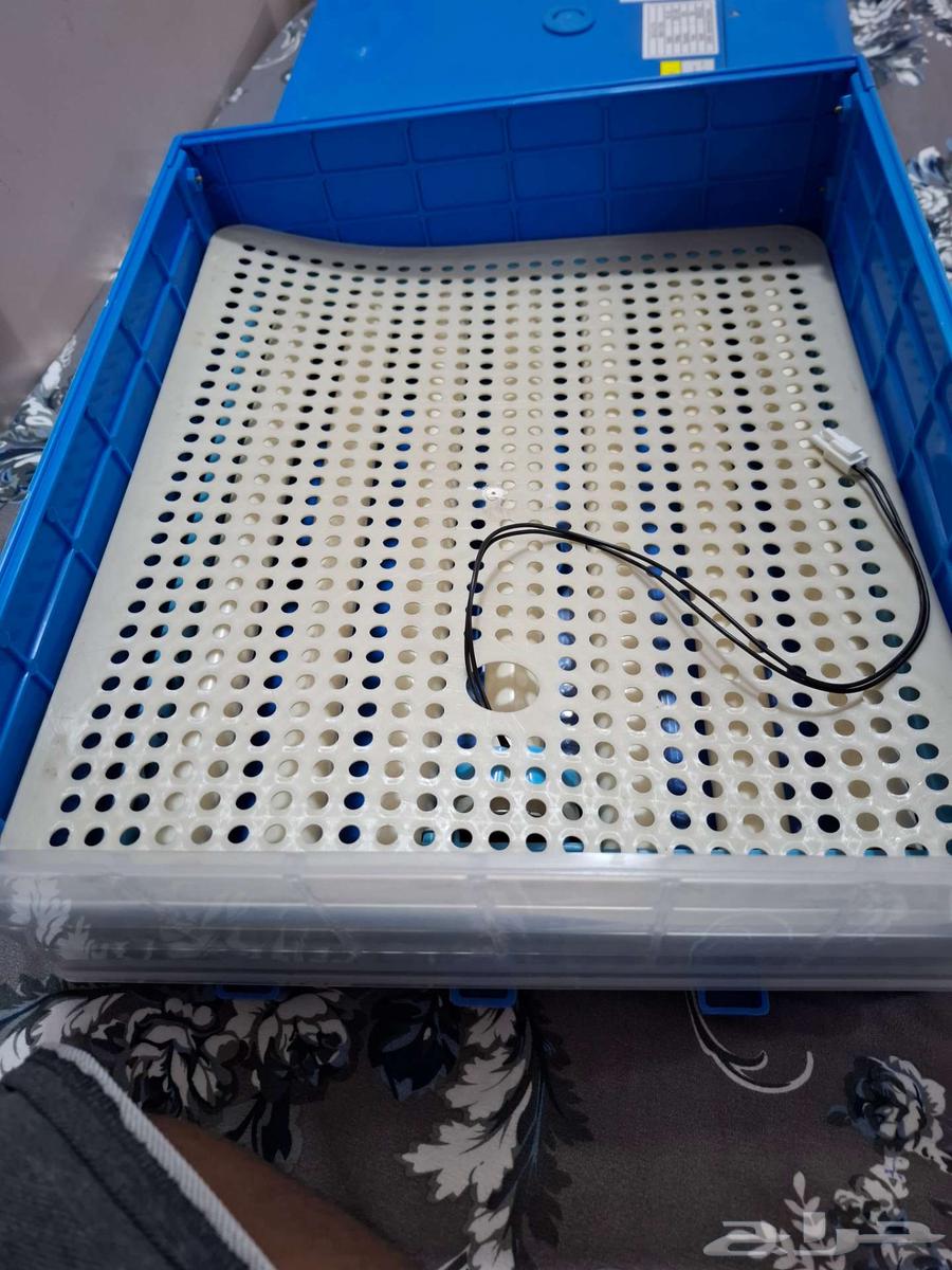 40-egg incubator, new unused64547373964801113