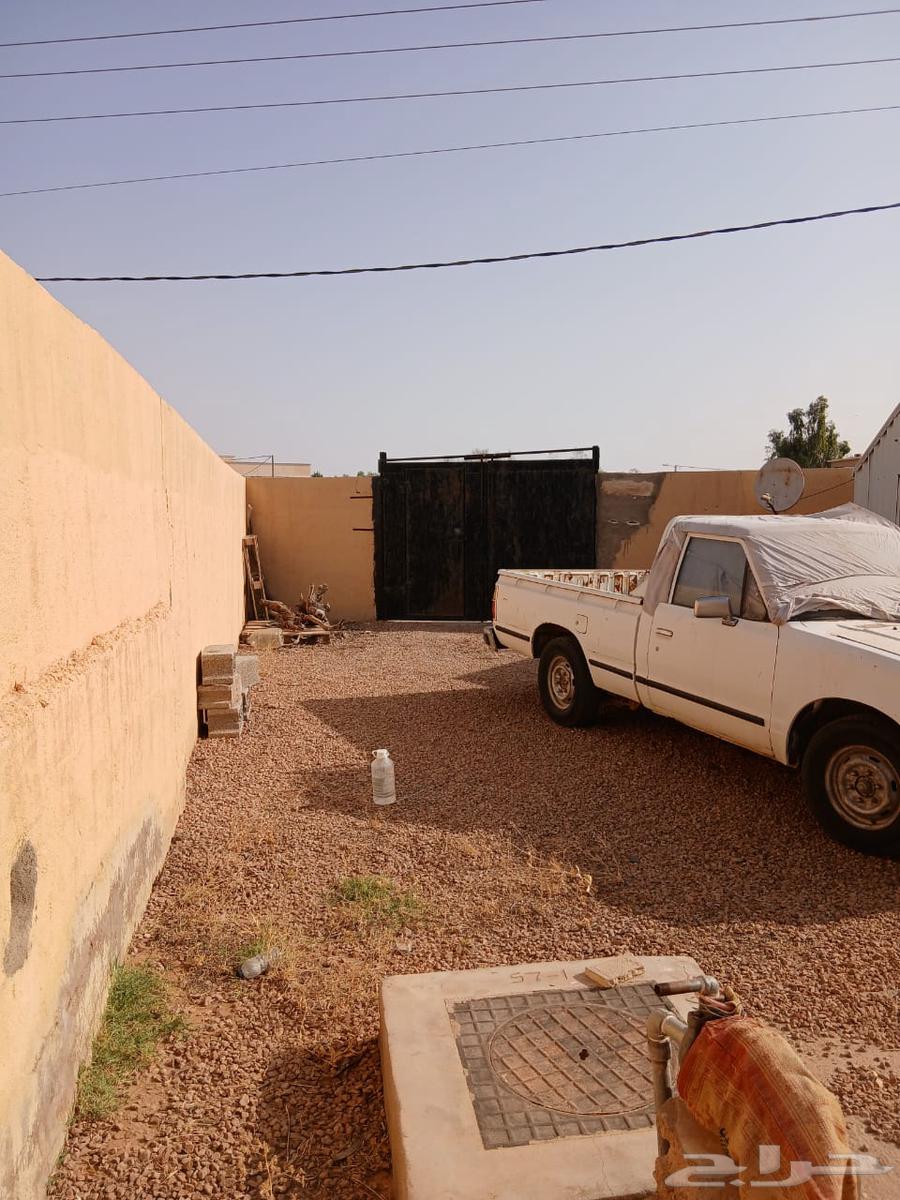 بيت شعبي في قبة للبيع واستراحة في ضيدة للبيع64144799668867110