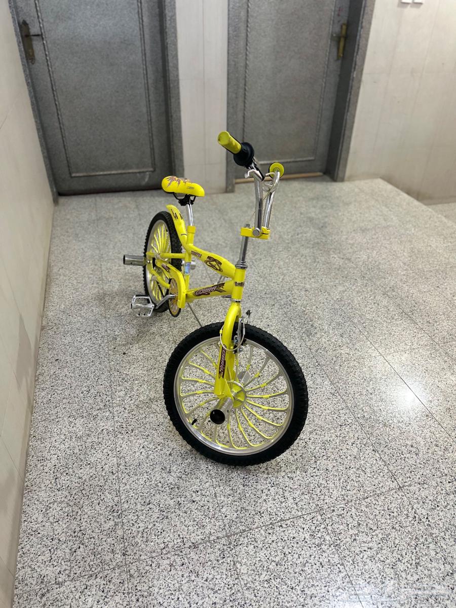 Cyclone Cobra64548505071234111