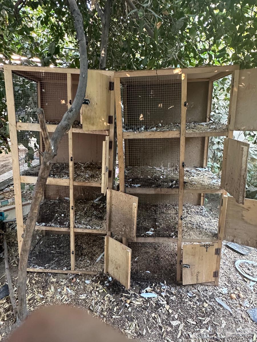 Mahakir64548924405633110