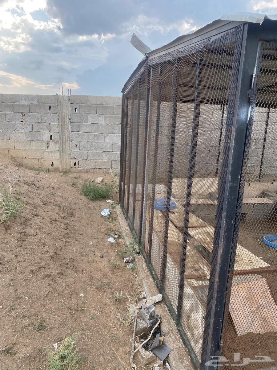 Small mesh bird net sold sold64549261449089113