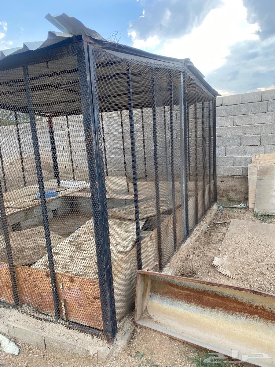 Small mesh bird net sold sold64549261449089114