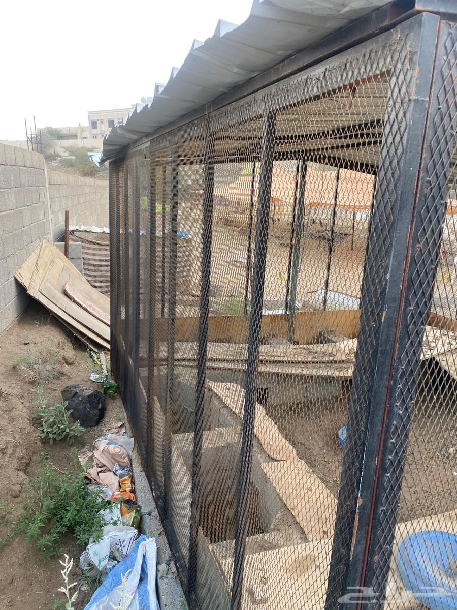 Small mesh bird net sold sold64549261449089111