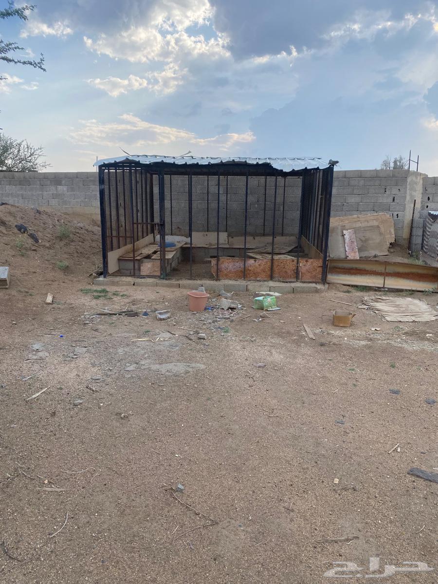 Small mesh bird net sold sold64549261449089112