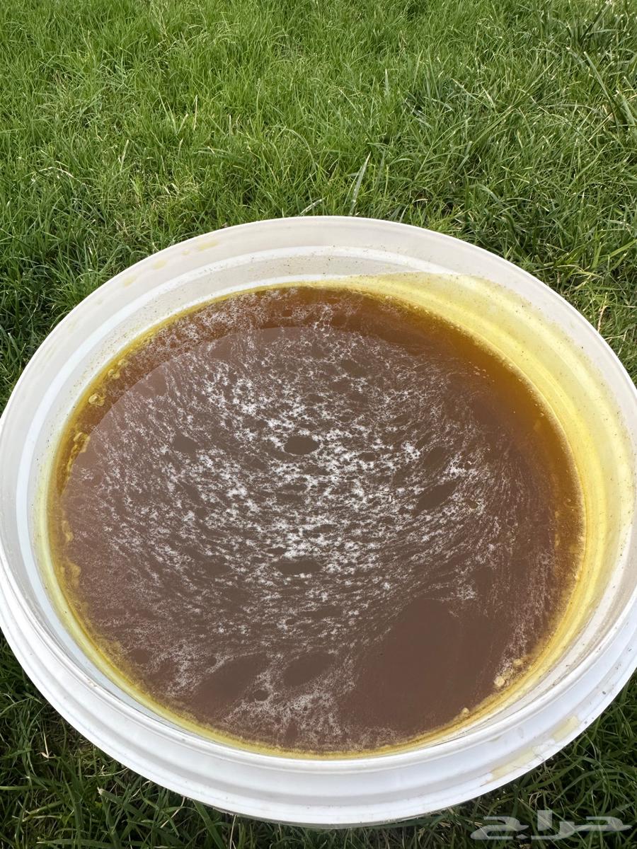 عسل اثل صافي جملة وزن 20 كيلو تقريبا64550232027265112