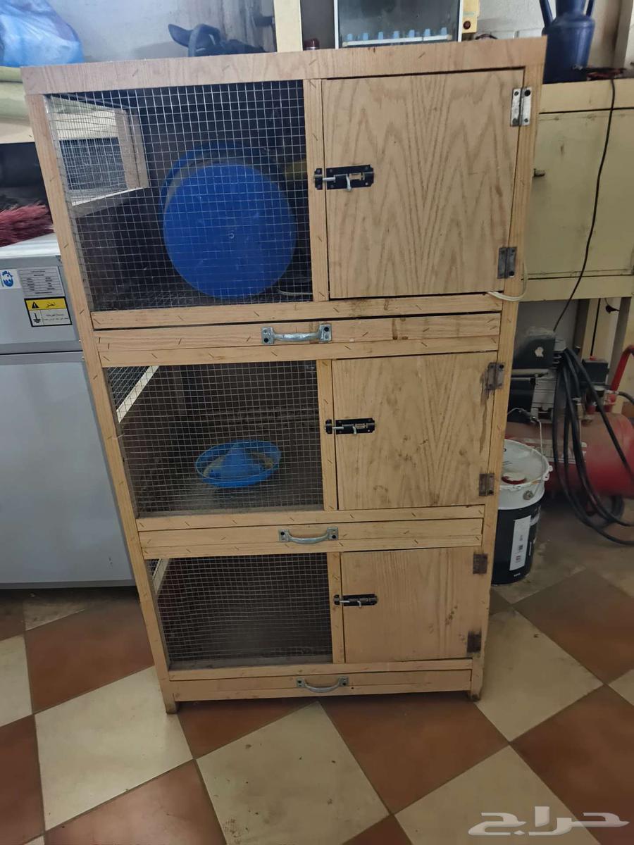 Automatic incubator for sale, Al Khut new and two hatching cabinets64550544231682113