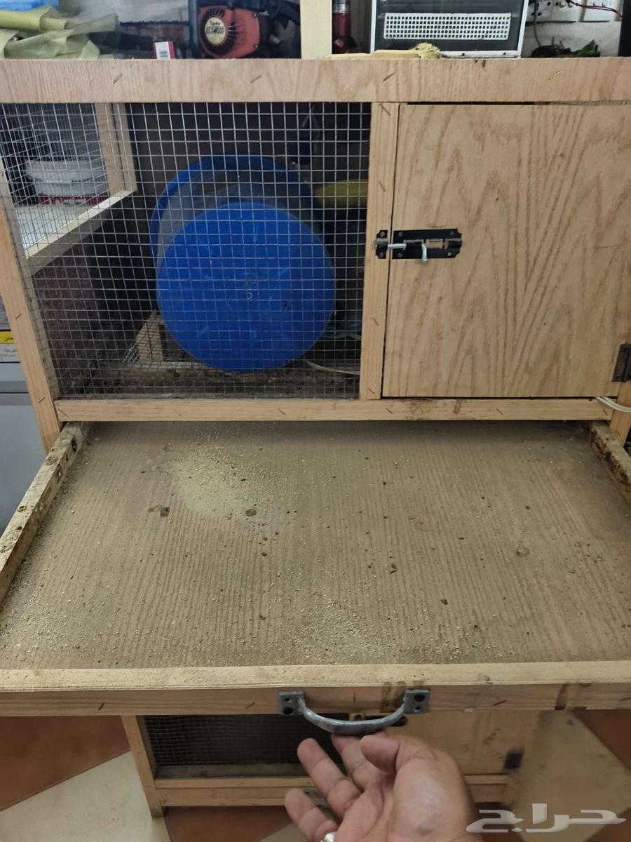 Automatic incubator for sale, Al Khut new and two hatching cabinets64550544231682111