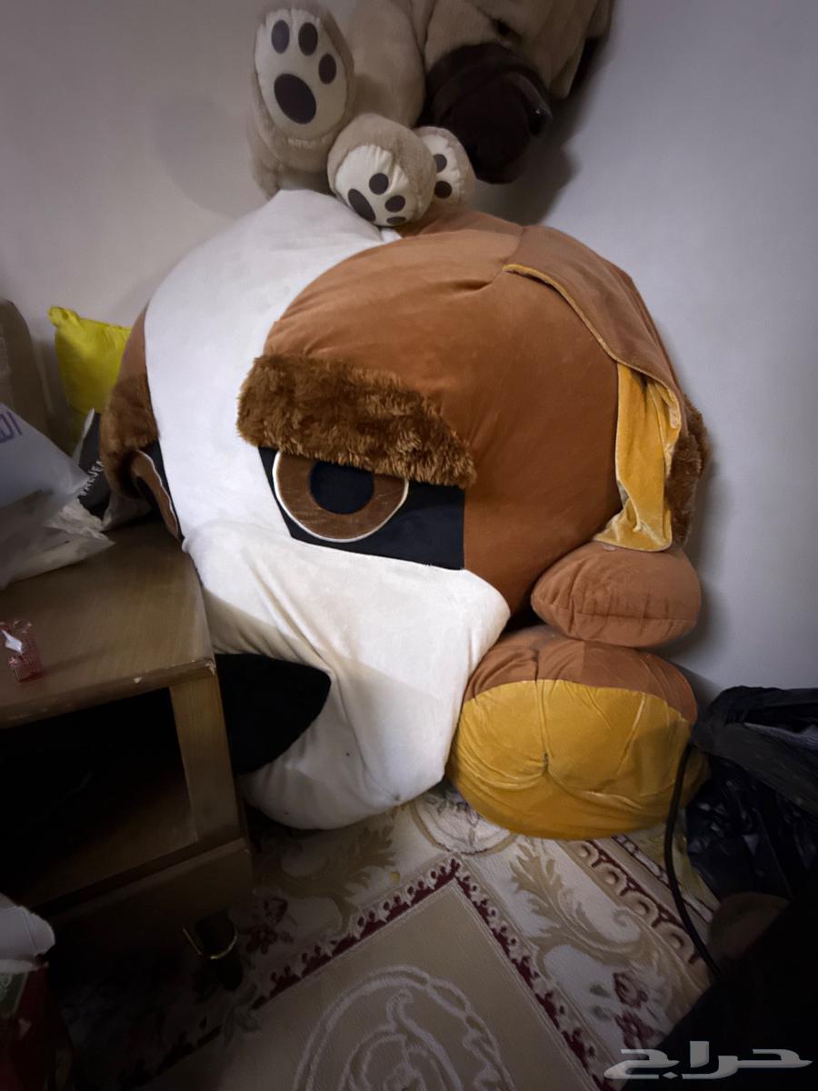 دميه كبيره الحجم للبيع64513272304643110