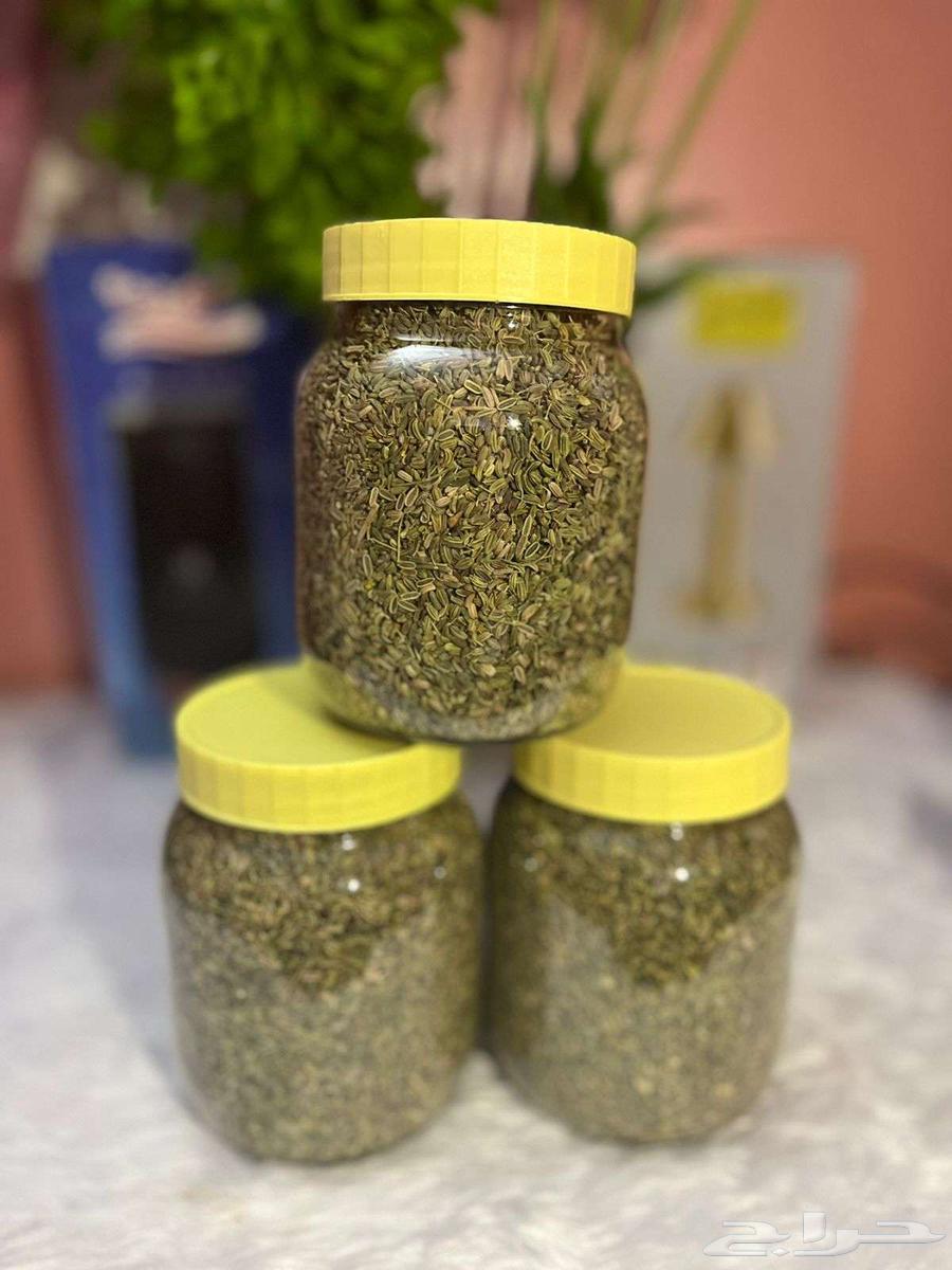 My local snoots picked this year64552505413634113